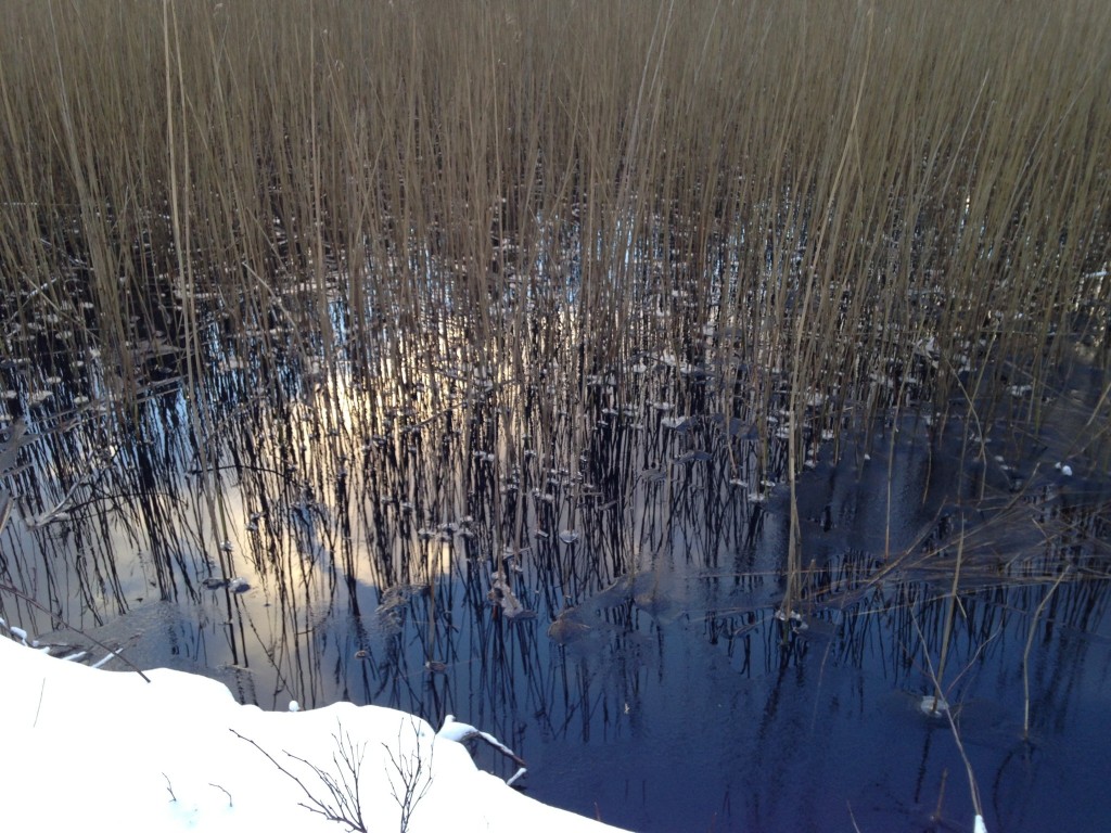 Dänemark wo das Glück wohnt Winterstimmung aus Dänemark by Cordula Hamelmann