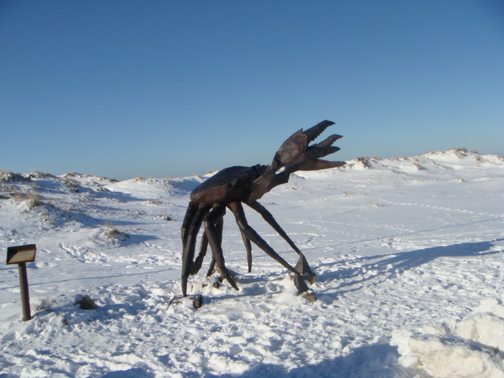 Dänemark wo das Glück wohnt Winterstimmung aus Dänemark by Cordula Hamelmann