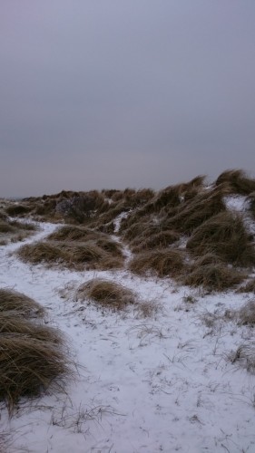 Dänmark wo das Glück wohnt Norderney im Winter