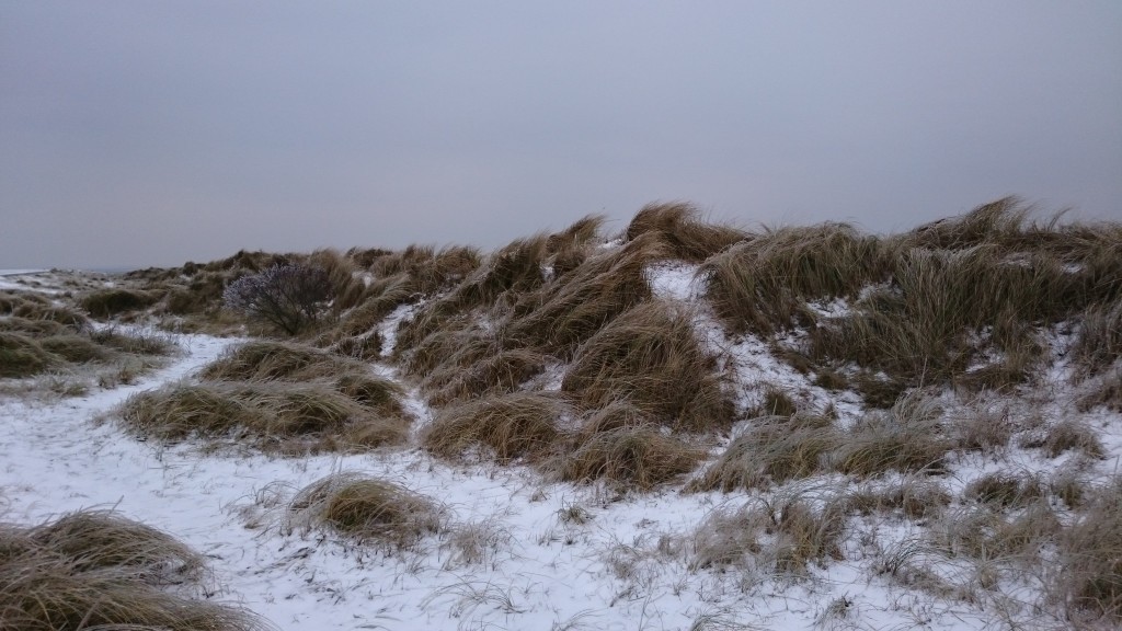 Dänemark wo das Glück wohnt Blog Winterglücklichmacher Norderney