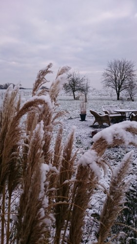 Dänemark wo das Glück wohnt Dänisches Wohnglück Winterzeit am Deich