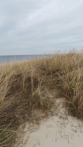 Dänemark wo das Glück wohnt Blog Glücklich am Strand von oben