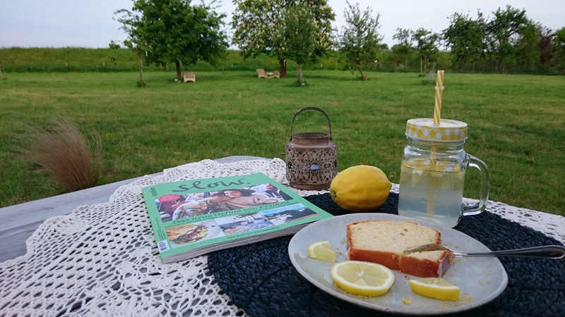 Dänemark wo das Glück wohnt Blog Zitronenkuchen